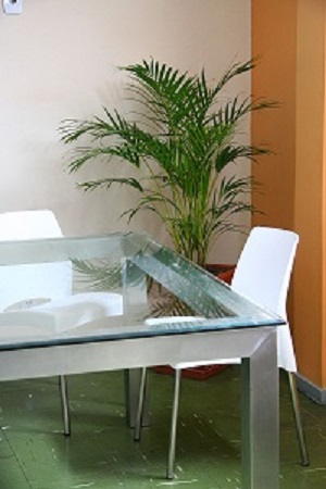 mesa de vidrio