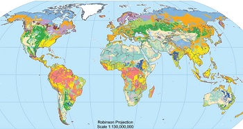 Regiones de suelos globales