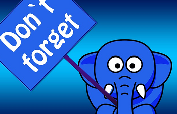 elefante