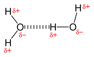 enlaces de hidrógeno