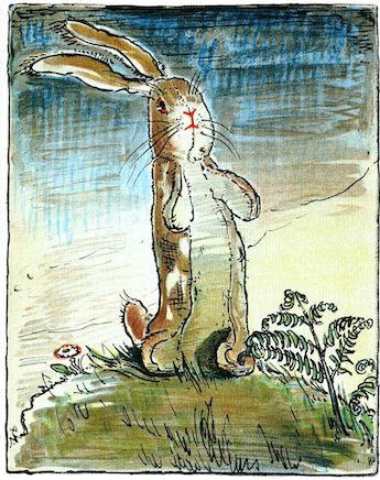 Conejo de terciopelo