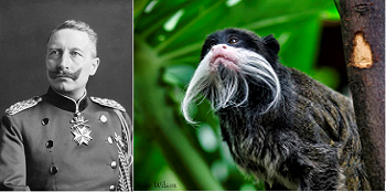 Kaiser Wilhelm II y tamarin