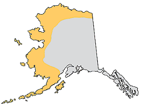 Tundra de la costa de Alaska