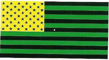 Color de la imagen residual de la bandera americana