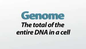 Definición del genoma
