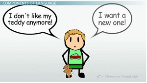 Desarrollo gramatical