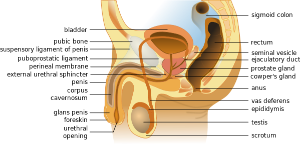 nulo