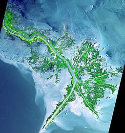 Foto del delta del río Mississippi