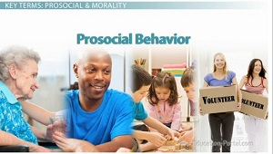 Conducta prosocial
