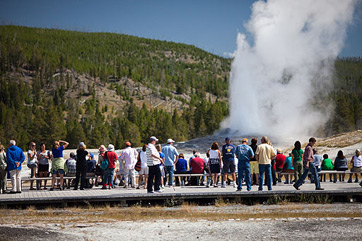 Foto de Old Faithful