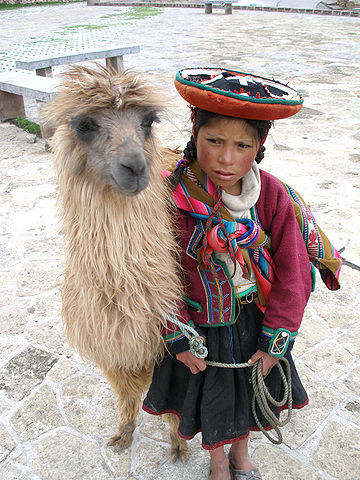 Niña Quechua y Llama