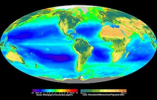 Mapa global de la biosfera basado en la ubicación del productor primario