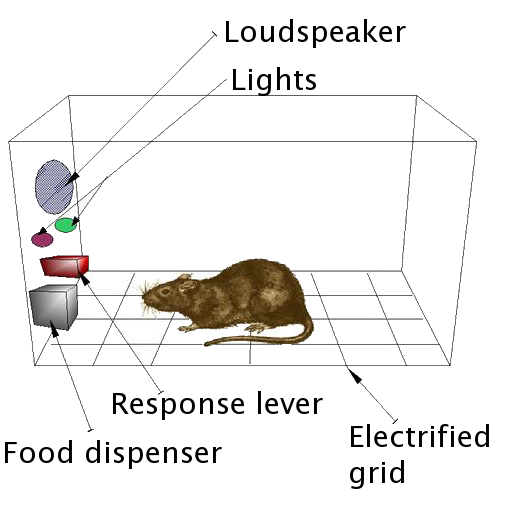 Diagrama de una caja de Skinner