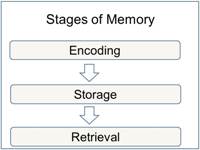 Diagrama de etapas involucradas en la memoria