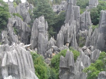 Foto de Stone Forest, China