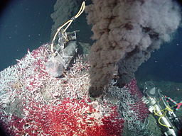 Foto de un respiradero oceánico