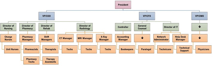 Organigráma