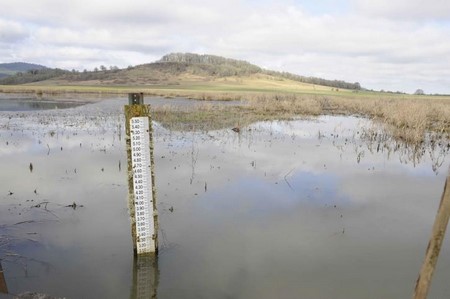 Un medidor con números que sobresalen de una masa de agua.