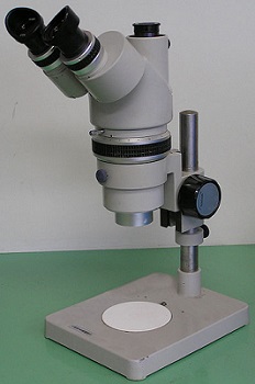microscopio