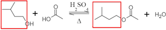 isoamilo