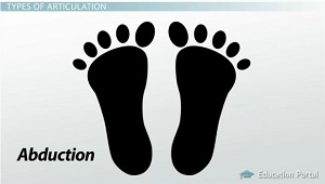Abducción Dedos de los pies extendidos