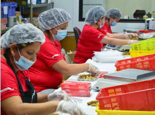 Trabajadores de fabrica