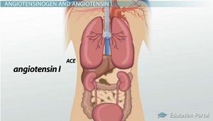 AS