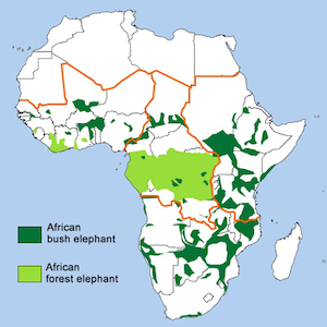 Distribución de elefantes de sabana y bosque en África