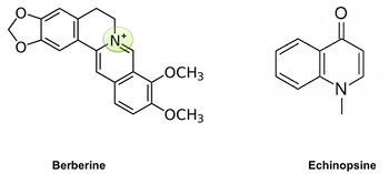 alcaloide
