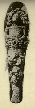 Cuadro de la momia de Amenhotep II