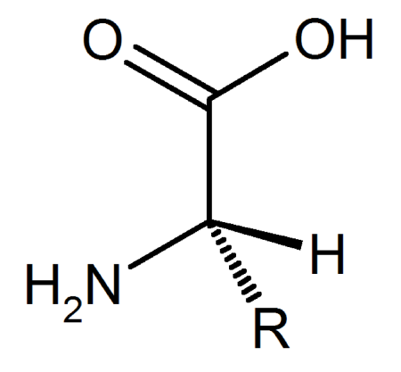 estructura