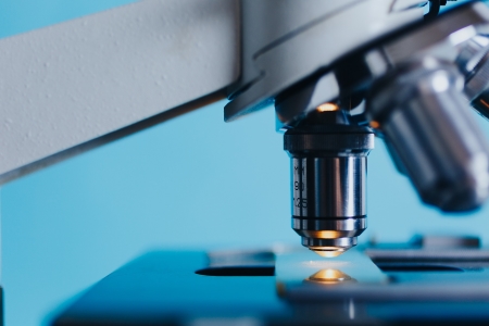 El estudio de la bioquímica a menudo se realiza mediante microscopía.