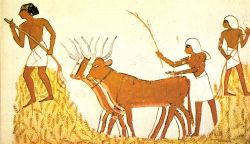 agricultura en el Antiguo Egipto