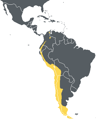 Un mapa de rango para los cóndores andinos.