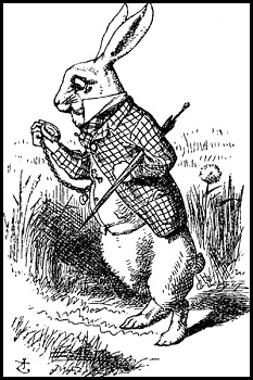 Conejo