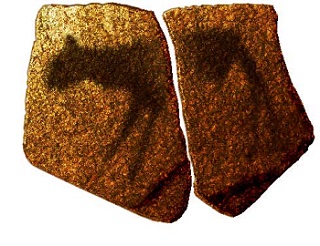 Fragmentos de una pintura de la cueva del Apolo 11