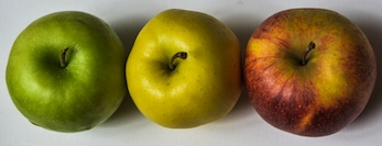 Manzanas comunes