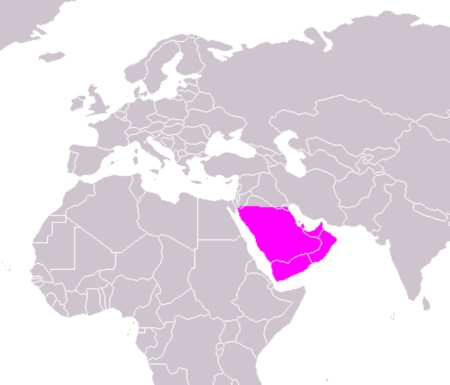 Península Arabica