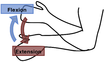 extensión del brazo