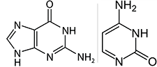 Hidrocarbonos aromáticos