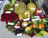 Fruta