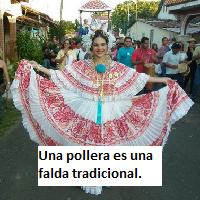 ropa pollera