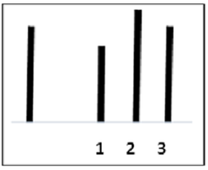 Estudio de Asch de diferentes longitudes de línea