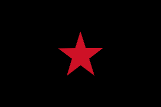 Bandera del EZLN