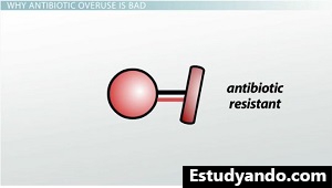 Las bacterias pueden intercambiar ADN