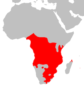 nulo