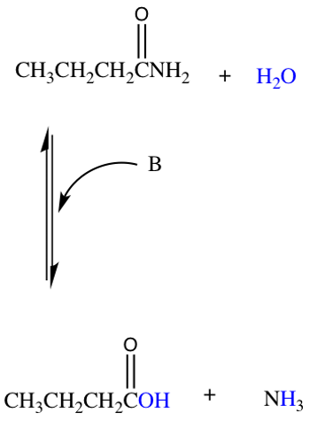 base