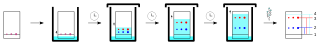 TLC