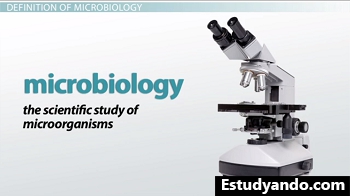 Definición de microbiología