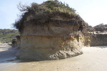 Erosión de la playa